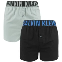 Calvin Klein Intense Power 2-pack Wijde Boxershorts Multi V