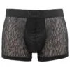 HOM HO1 Microfiber Boxer Temptation Rudy Zwart
